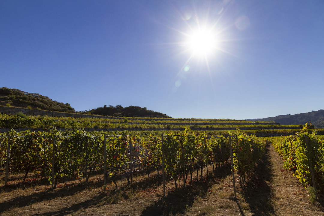 Vinos de Encostas Xose Lois Sebio Coios