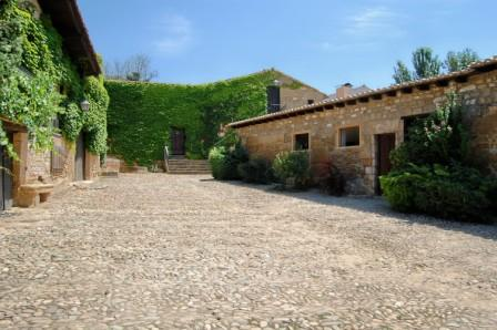 Contino-Vina-del-Olivo-3.jpg