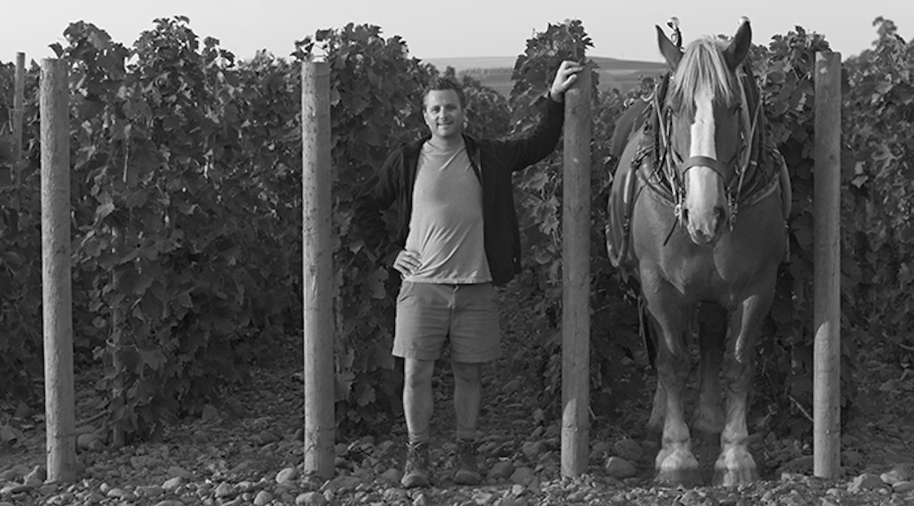 Horsepower Vineyards The Tribe Vineyard Syrah 2011