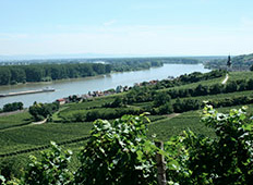 Produkt Bild