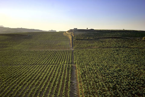 Vina Bosconia Reserva tinto 2013