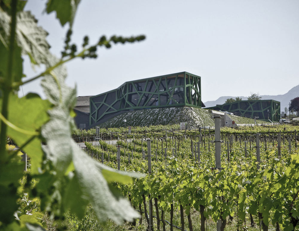 Tramin Lagrein