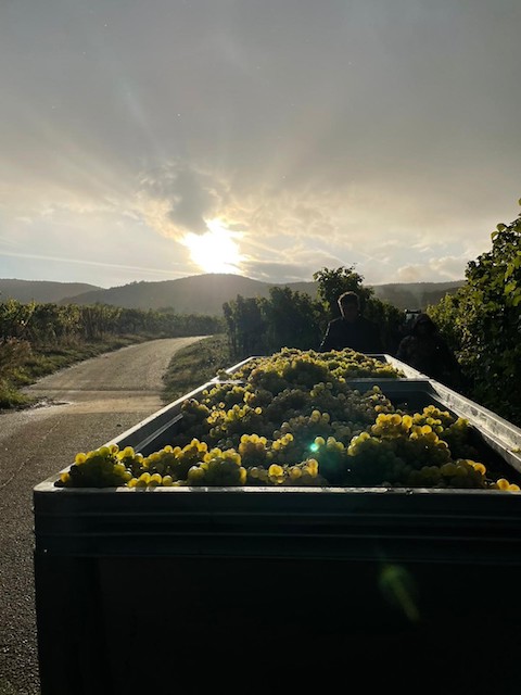 Von Winning Riesling Kirchenstück GG 2020