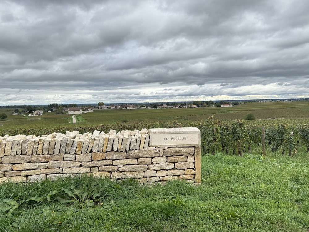 Jean Chartron Puligny Montrachet Clos de la Pucelle 1er Cru Monopole 2022