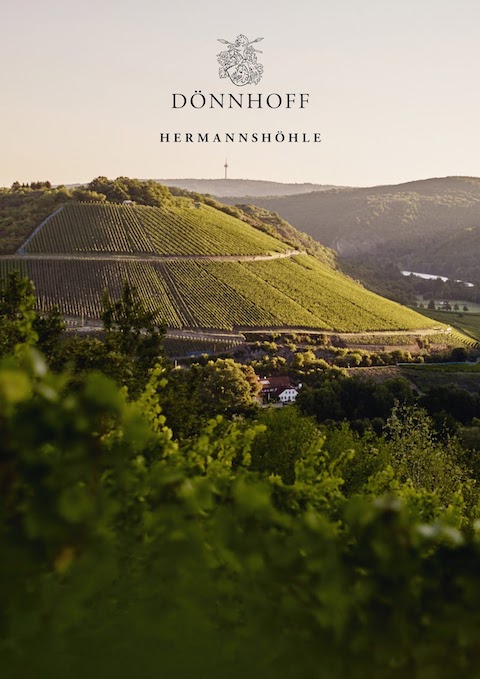 Dönnhoff Schloßböckelheimer Felsenberg Riesling GG 2021