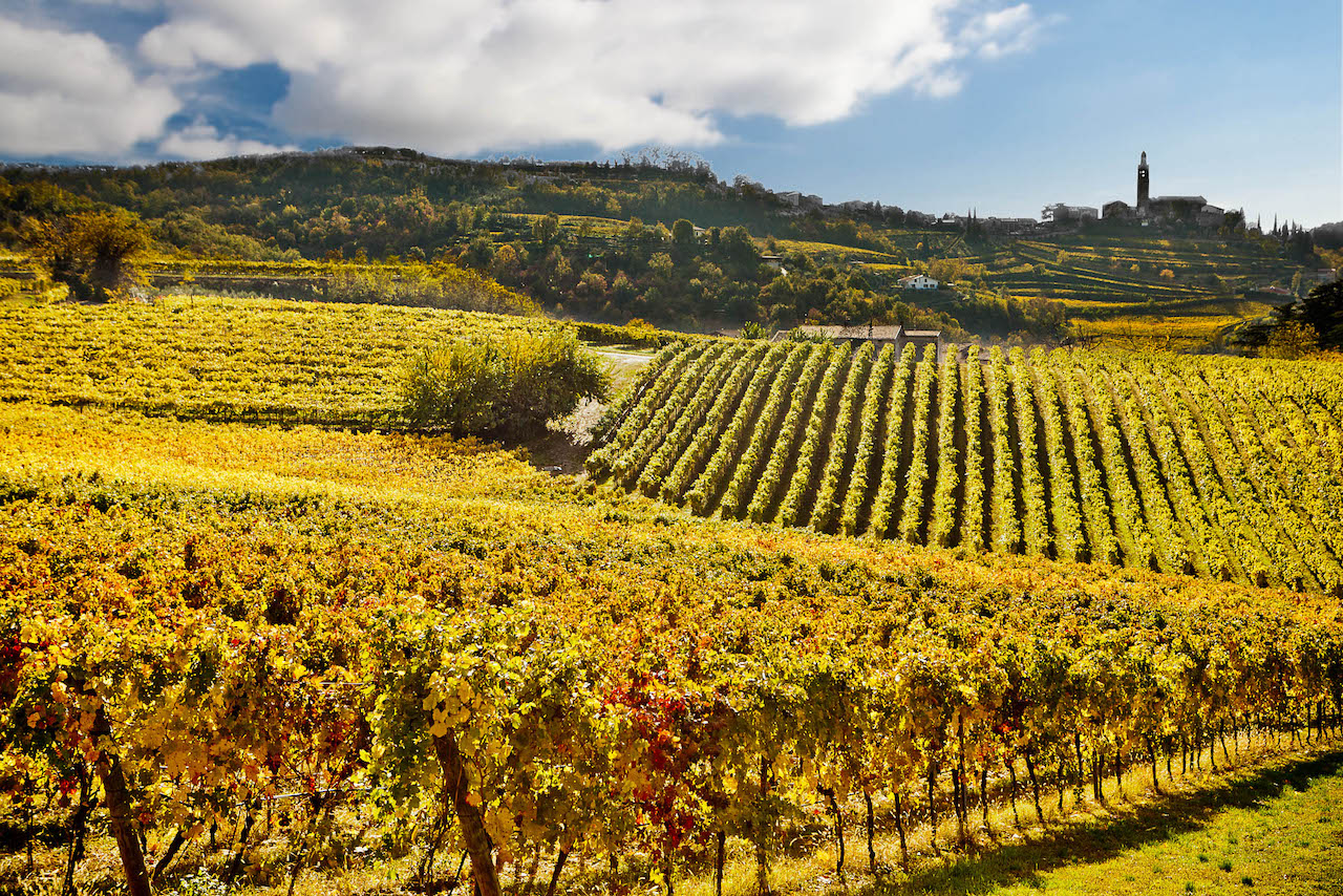Tenuta Sant´Antonio Scaia Bianca Veneto Bianco IGT