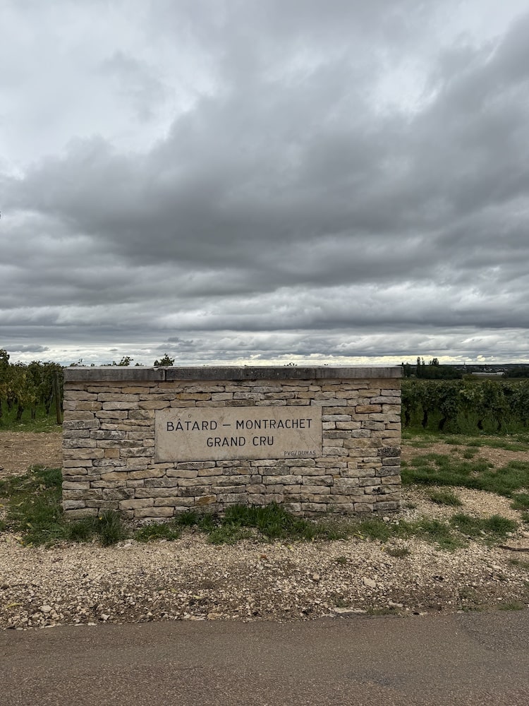 Le Moine Bâtard Montrachet Grand Cru 2022