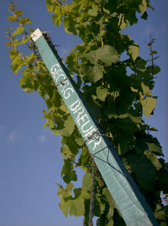 Georg Breuer Rüdesheim Berg Schlossberg Rheingau Riesling 2024