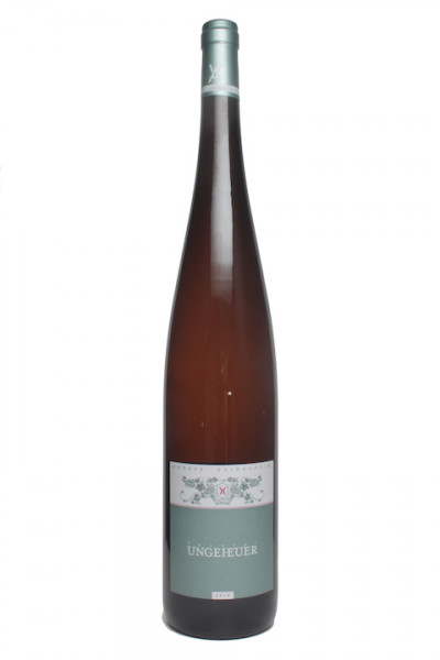 Weingut Andres Forster Ungeheuer Riesling 2019 Magnum