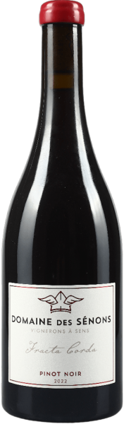 Domaine des Sénons Fracta Corda Pinot Noir 2022 BIO