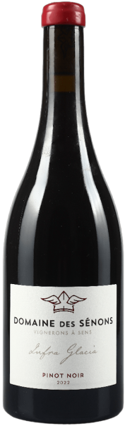 Domaine des Sénons Infra Glacia Pinot Noir 2022 BIO