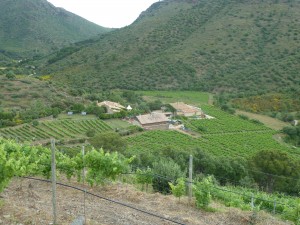 mas_estela_7
