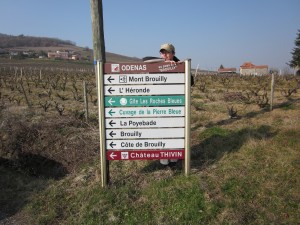 doroes_weinsinn_beaujolais_teil_2_3