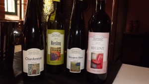 weingut_jaworek_polen__tasting