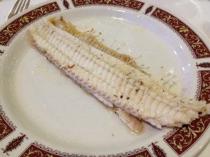 kaia_kaipe_getaria_seezunge
