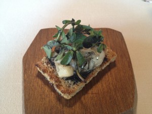 spanien_mugaritz_7