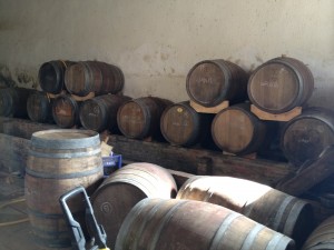 spanien_emporda_costa_brava_can_torres_barriques