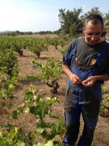 spanien_emporda_costa_brava_can_torres_joan