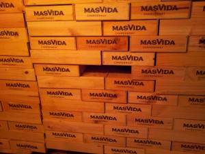 mas_vida_111