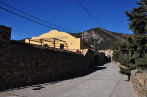 Vinyes_dels_Aspres_Cantallops_Spanien_1