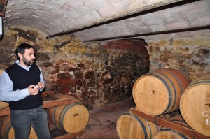 Vinyes_dels_Aspres_Cantallops_Spanien_4