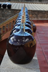 Vinyes_dels_Aspres_Cantallops_Spanien_6