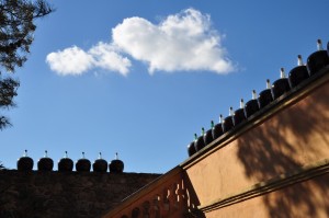 Vinyes_dels_Aspres_Cantallops_Spanien_8
