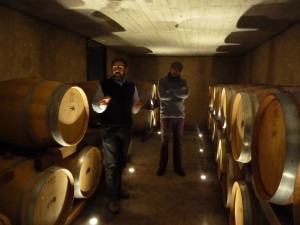 Vinyes_dels_Aspres_Cantallops_Spanien_9