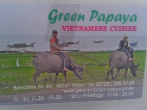 green_papaya_hilden_1