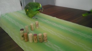 ex-weinminister_kork_papagei_1