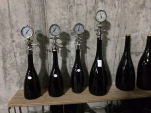 Mas_betran_penedes_1
