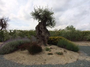 Mas_betran_penedes_2