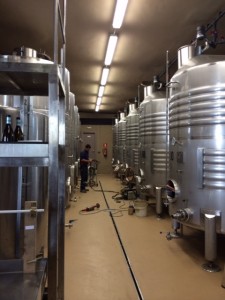 Mas_betran_penedes_5