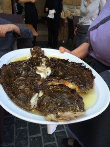 Kaia_Kaipe_Getaria_Spanien_7