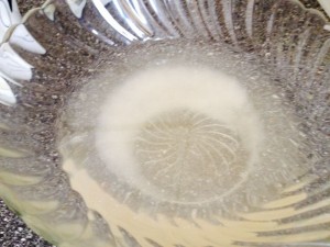 Rezept_Riñones_al_Jerez_3