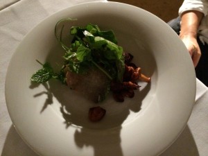 IMG_3556