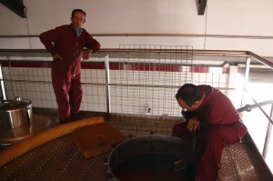 Monteabellon_weinlese_2014_7