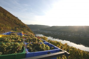achim_reis_mosel_2014_2