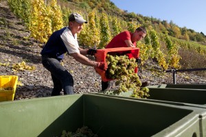 achim_reis_mosel_2014_4
