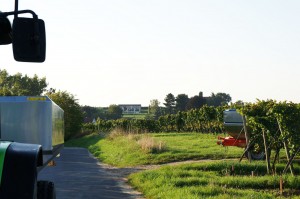 SONY DSC