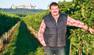 dockner_kremstal_weinlese_2014_4