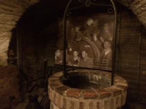 Bodegas_Monteabellon_Nava_de_Roa_ Spanien_3
