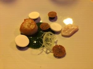 Bolenius_Amsterdam_Niederlande_6