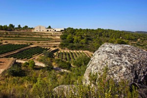Clos-Pons-Alonia-1546bb1e42e97d_720x600