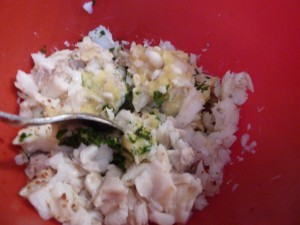 fischfrikki_7