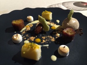 Annua_Oscar_Calleja_San_Vincente_de_la_Barquera_Spanien_18