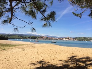 Annua_Oscar_Calleja_San_Vincente_de_la_Barquera_Spanien_20
