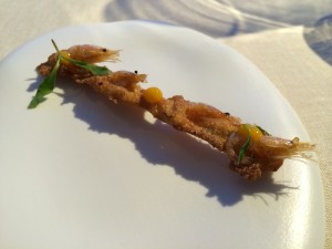 Annua_Oscar_Calleja_San_Vincente_de_la_Barquera_Spanien_7
