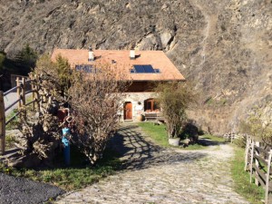 Weingut_Hofbrennerei_Unterortl_Castel_Juval_Suedtirol_Italien_2