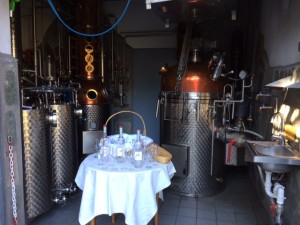 Weingut_Hofbrennerei_Unterortl_Castel_Juval_Suedtirol_Italien_5